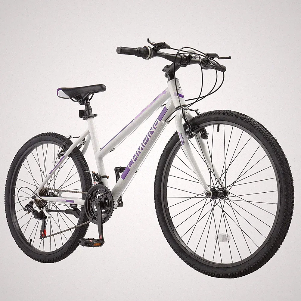 26 Inch Mountain Bike,21 Speeds High-Carbon Steel Frame, Sport MTB Bicycle