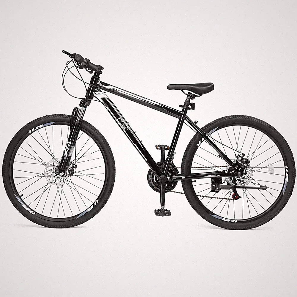 26 inch Tire Mountain Bike 21 Speed Bicycle High Carbon Steel MTB