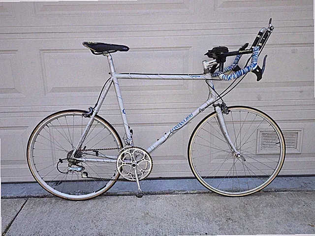 EARLY 90s HAND-BUILT & PAINTED QUINTANA ROO SUPERFORM TRIATHLON BIKE! 🦄P/U ONLY