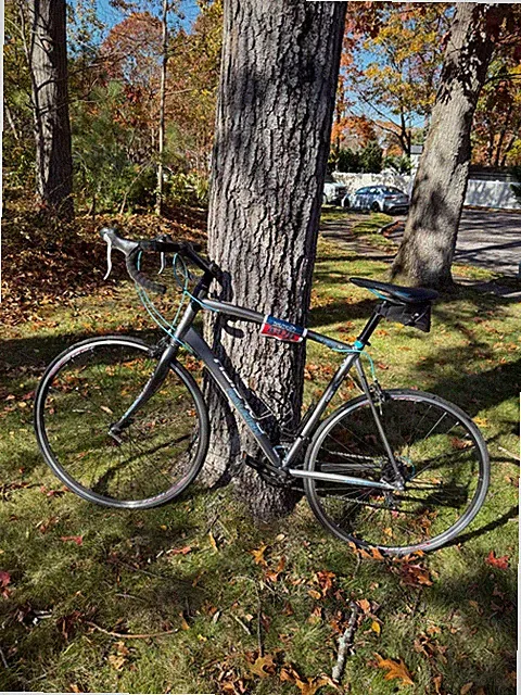Raleigh Revenio 1.0 Road Bike - LOCAL PICK UP ONLY